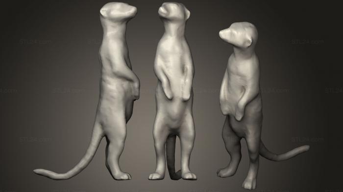 Статуэтки животных (Сурикат, STKJ_1745) 3D модель для ЧПУ станка